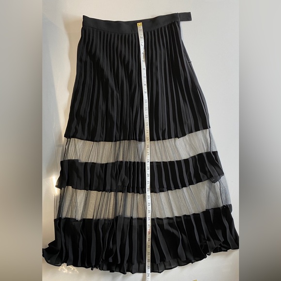 EUC & Other Stories Pleated See-through Midi Skirt - Picture 12 of 14